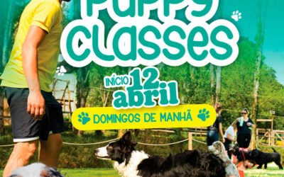 Puppy Classes em Rio Maior
