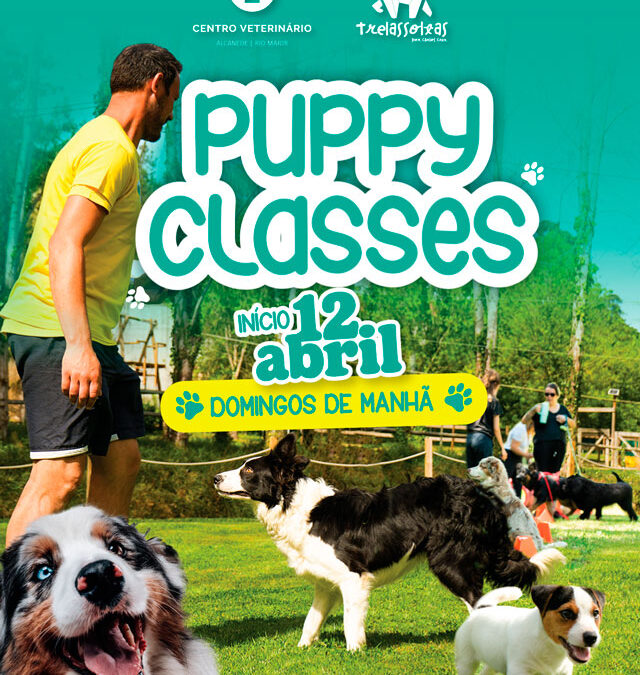 Puppy Classes em Rio Maior